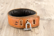 Load image into Gallery viewer, Collar - leather - with O-ring application - hand-sewn