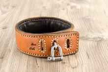Load image into Gallery viewer, Collar - leather - with O-ring application - hand-sewn

